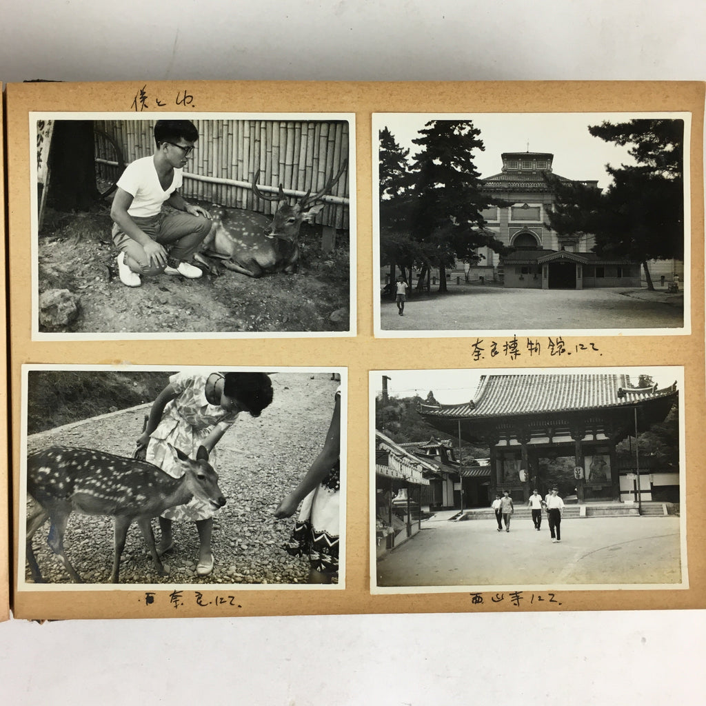 Japanese Photo Album Vtg 78pc C1961 Coast Ibi River Kyoto Temple Nagoya AB113
