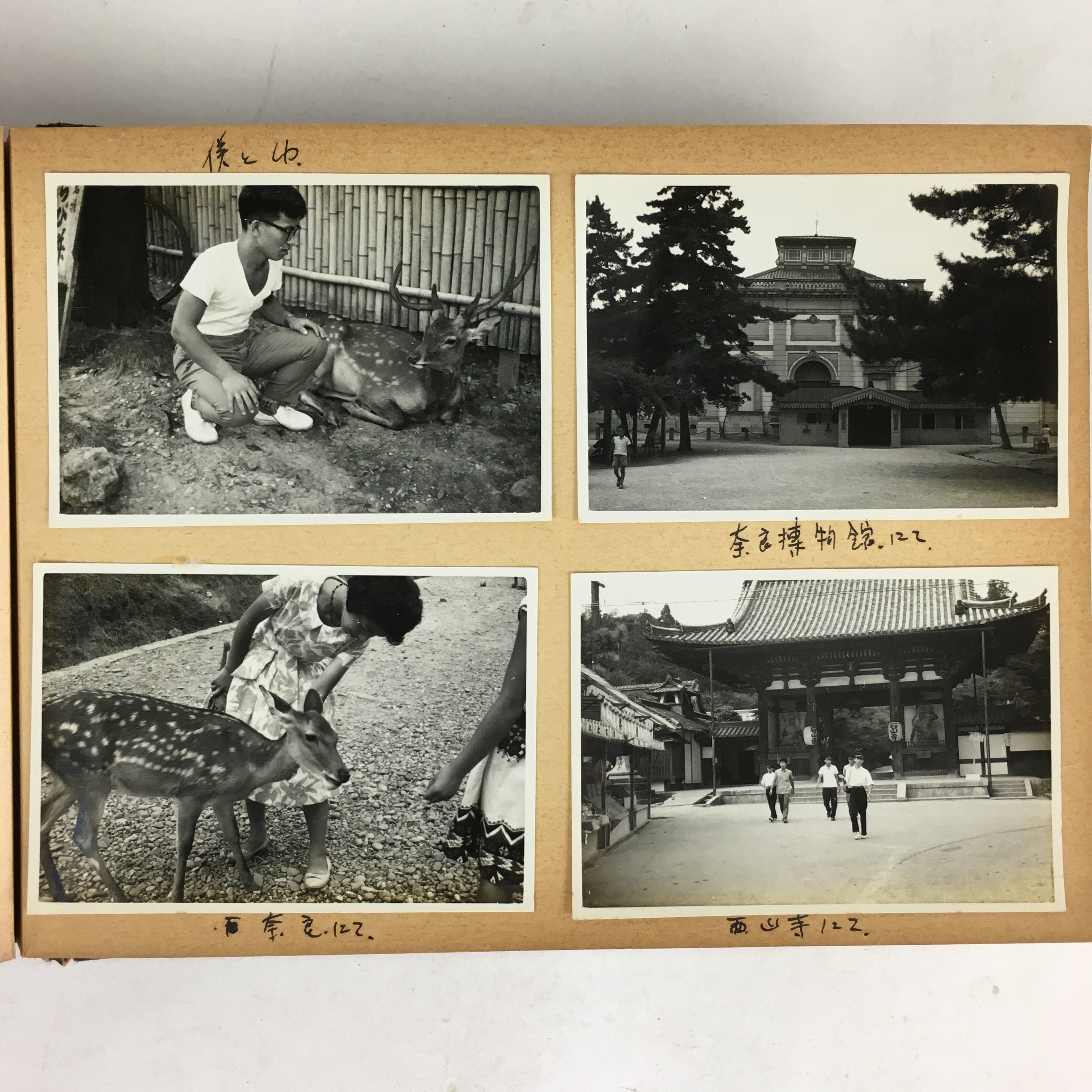 Japanese Photo Album Vtg 78pc C1961 Coast Ibi River Kyoto Temple Nagoya AB113