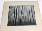 Japanese Photo Collection Temples Mountains Landscapes Portrait Vtg 9 Pics AB105