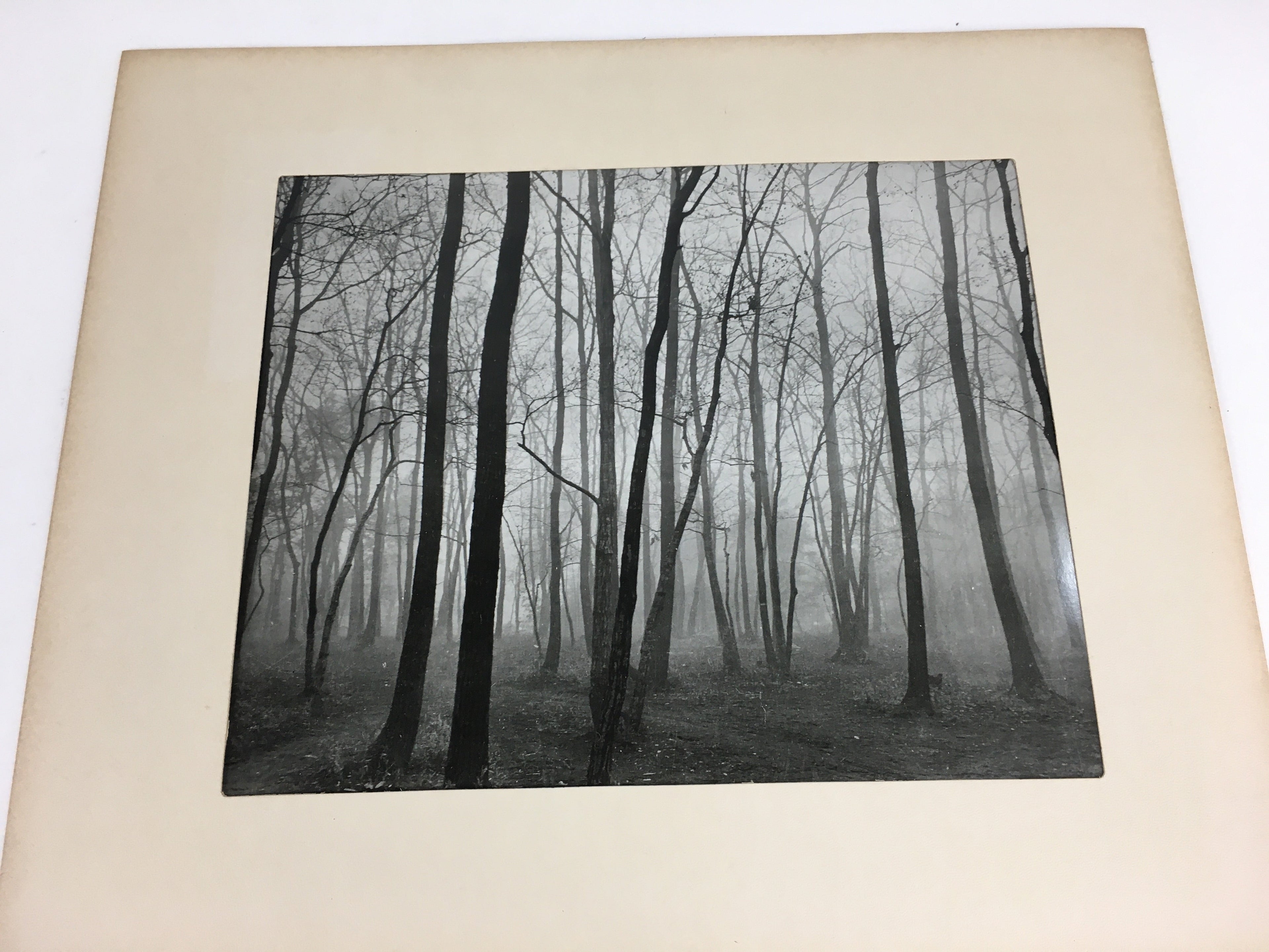 Japanese Photo Collection Temples Mountains Landscapes Portrait Vtg 9 Pics AB105