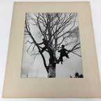 Japanese Photo Collection Temples Mountains Landscapes Portrait Vtg 9 Pics AB105