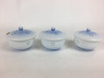 Japanese Porcelain 5pc Teacup And Teapot Set Vtg Arita Ware Yunomi Sencha TC244