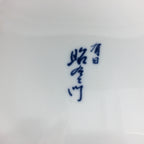 Japanese Porcelain Arita Ware Large Plate Centerpiece Vtg Round 40.5 cm PP647