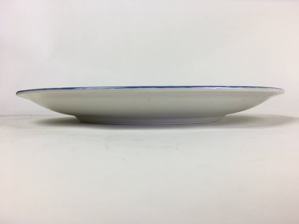 Japanese Porcelain Large Plate Vtg Pottery Centerpiece Serving Plate Ozara PP944