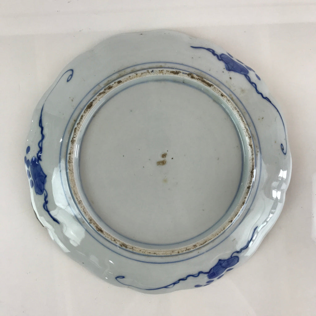Japanese Porcelain Plate Vtg Blue Sometsuke Camellia Flower Bee Sara PY149