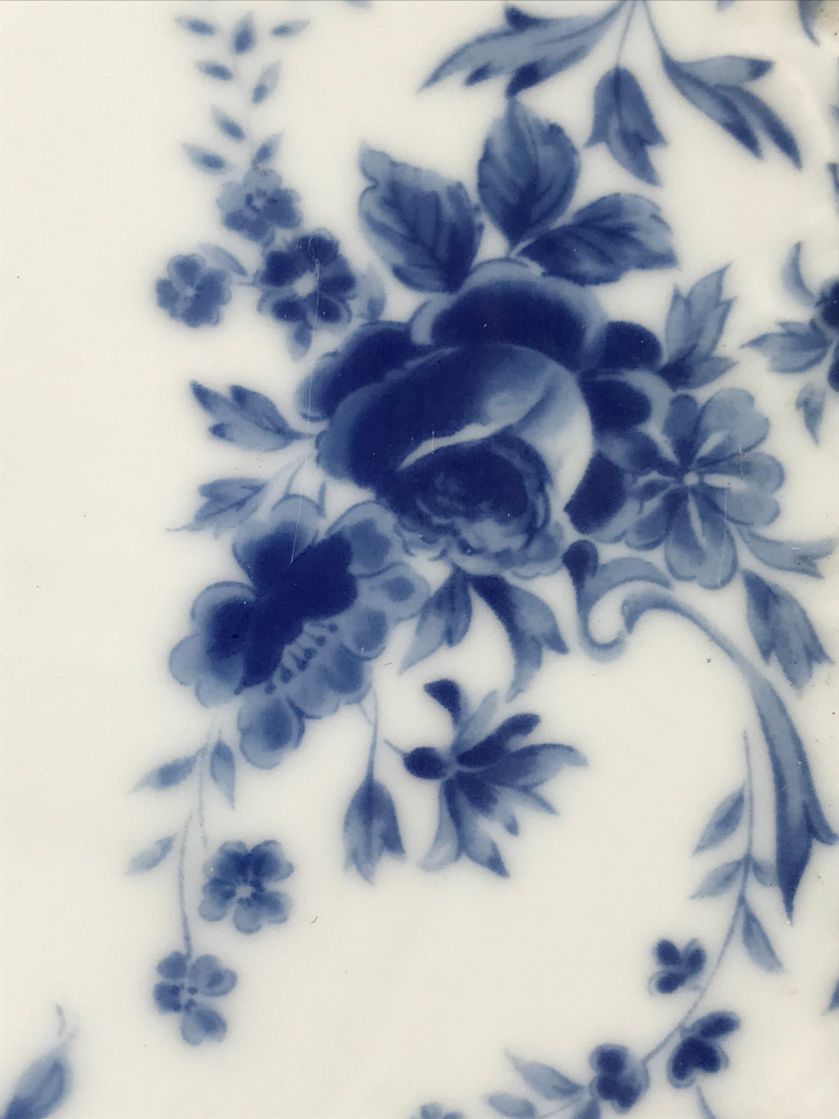 Japanese Porcelain Plate Vtg Hoya Bone China Japan Blue Flower Pattern Sara PY23