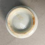 Japanese Porcelain Sake Cup Guinomi Sakazuki Vtg Blue White Lucky Plants GU760
