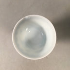 Japanese Porcelain Sake Cup Guinomi Sakazuki Vtg Blue White Sometsuke GU828