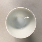 Japanese Porcelain Sake Cup Guinomi Sakazuki Vtg Blue White Sometsuke GU831
