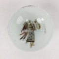 Japanese Porcelain Sake Cup Vtg Guinomi Ochoko Kuranosuke Ohishi Samurai GU948