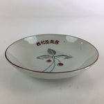 Japanese Porcelain Small Plate Vtg Red Fruit Plant Kozara White PY108