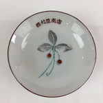 Japanese Porcelain Small Plate Vtg Red Fruit Plant Kozara White PY108