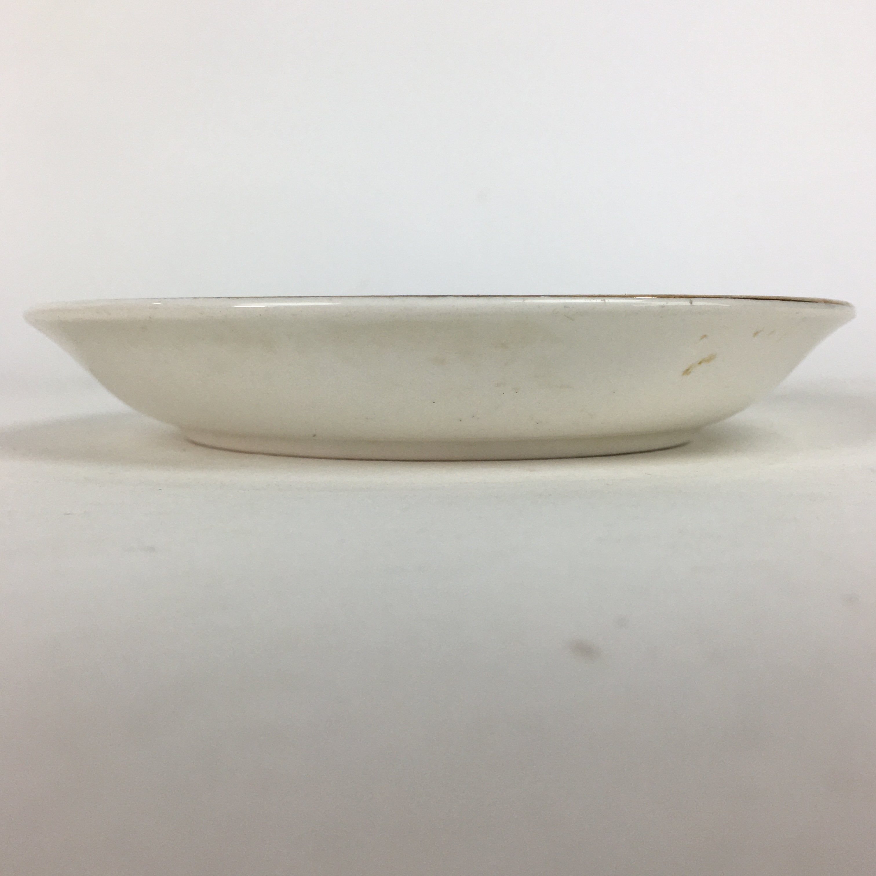 Japanese Porcelain Teacup Saucer Vtg Double Phoenix Nikko Japan Sansui PP669