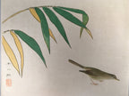 Japanese Print Drawing Painting Vtg Bamboo Leaf Bird P292