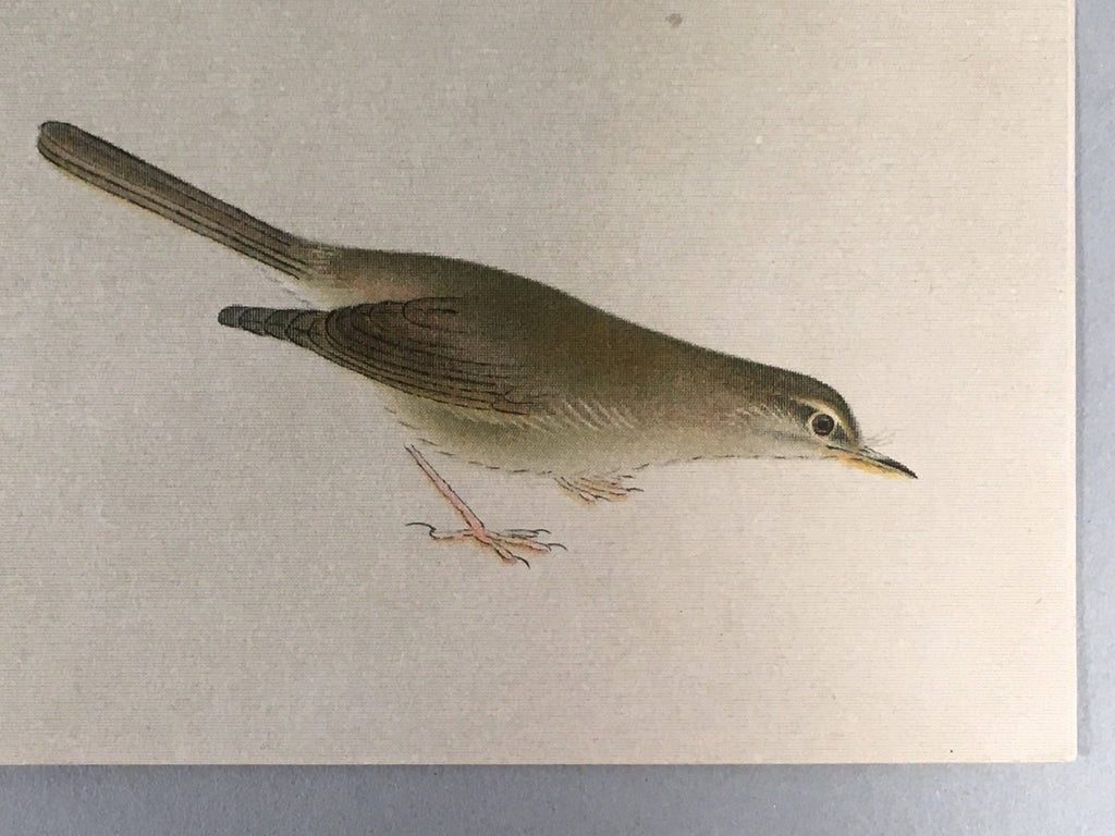 Japanese Print Drawing Painting Vtg Bamboo Leaf Bird P292
