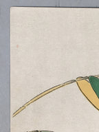 Japanese Print Drawing Painting Vtg Bamboo Leaf Bird P292