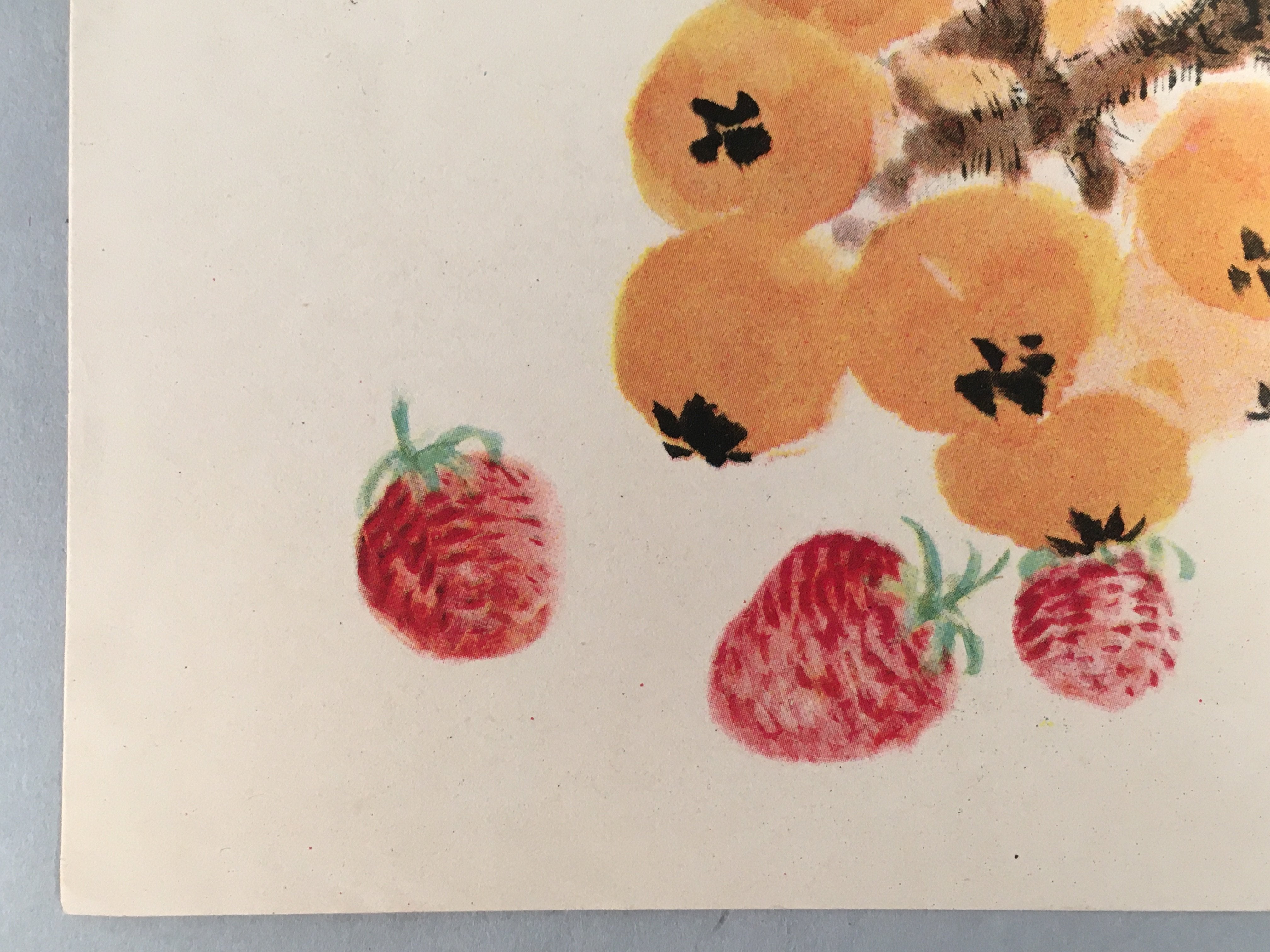 Japanese Print Drawing Painting Vtg Fruits Bee Loquat Strawberry Kanji P293