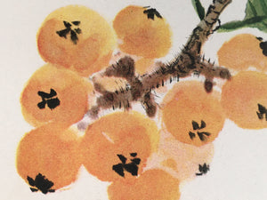 Japanese Print Drawing Painting Vtg Fruits Bee Loquat Strawberry Kanji P293