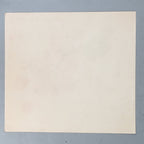 Japanese Print Drawing Painting Vtg Fruits Bee Loquat Strawberry Kanji P293