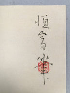 Japanese Print Drawing Painting Vtg Kimono Woman Kanzashi Nihon-Gami P287