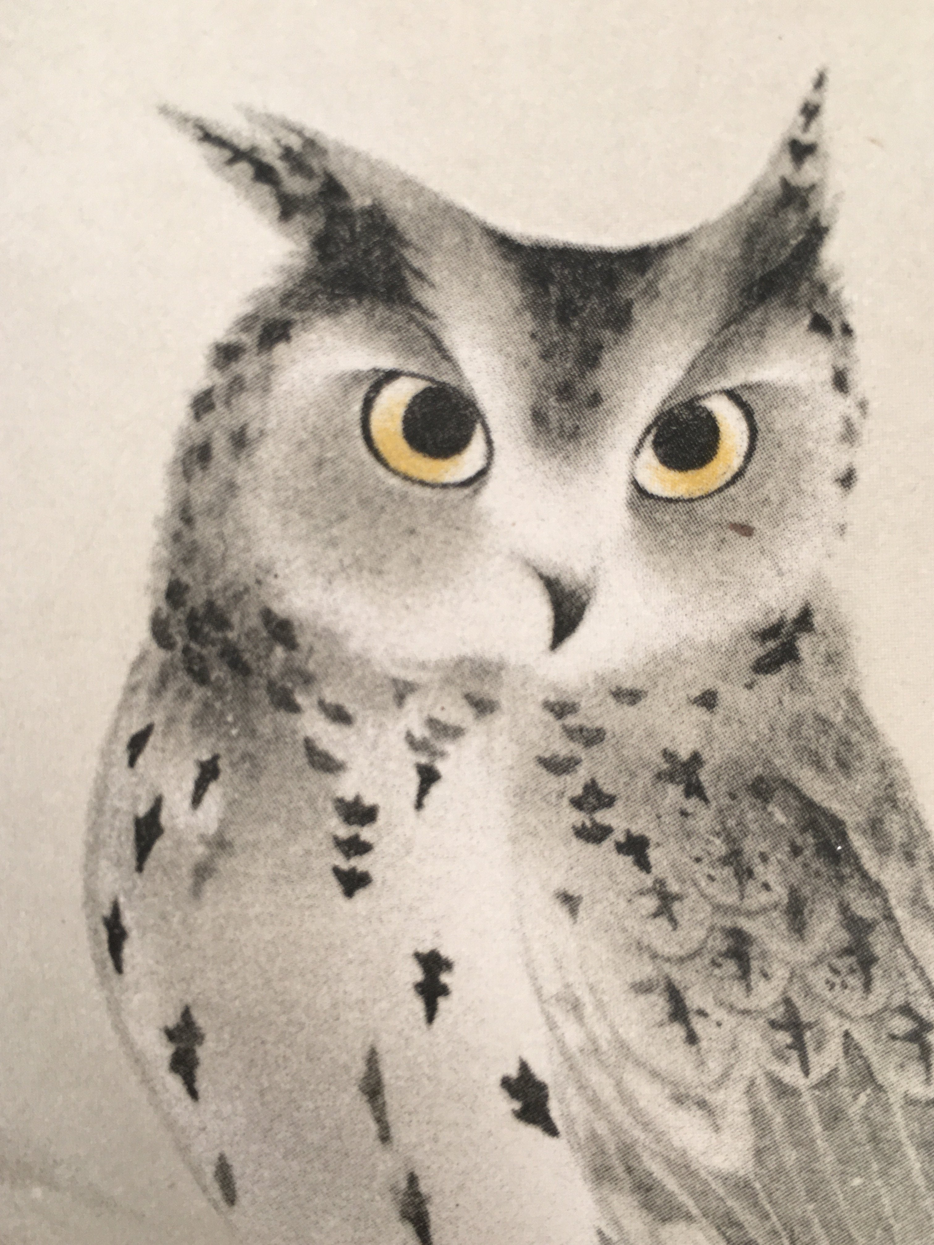 Japanese Print Drawing Painting Vtg Owl Bird Lucky Charm Pine Tree P290