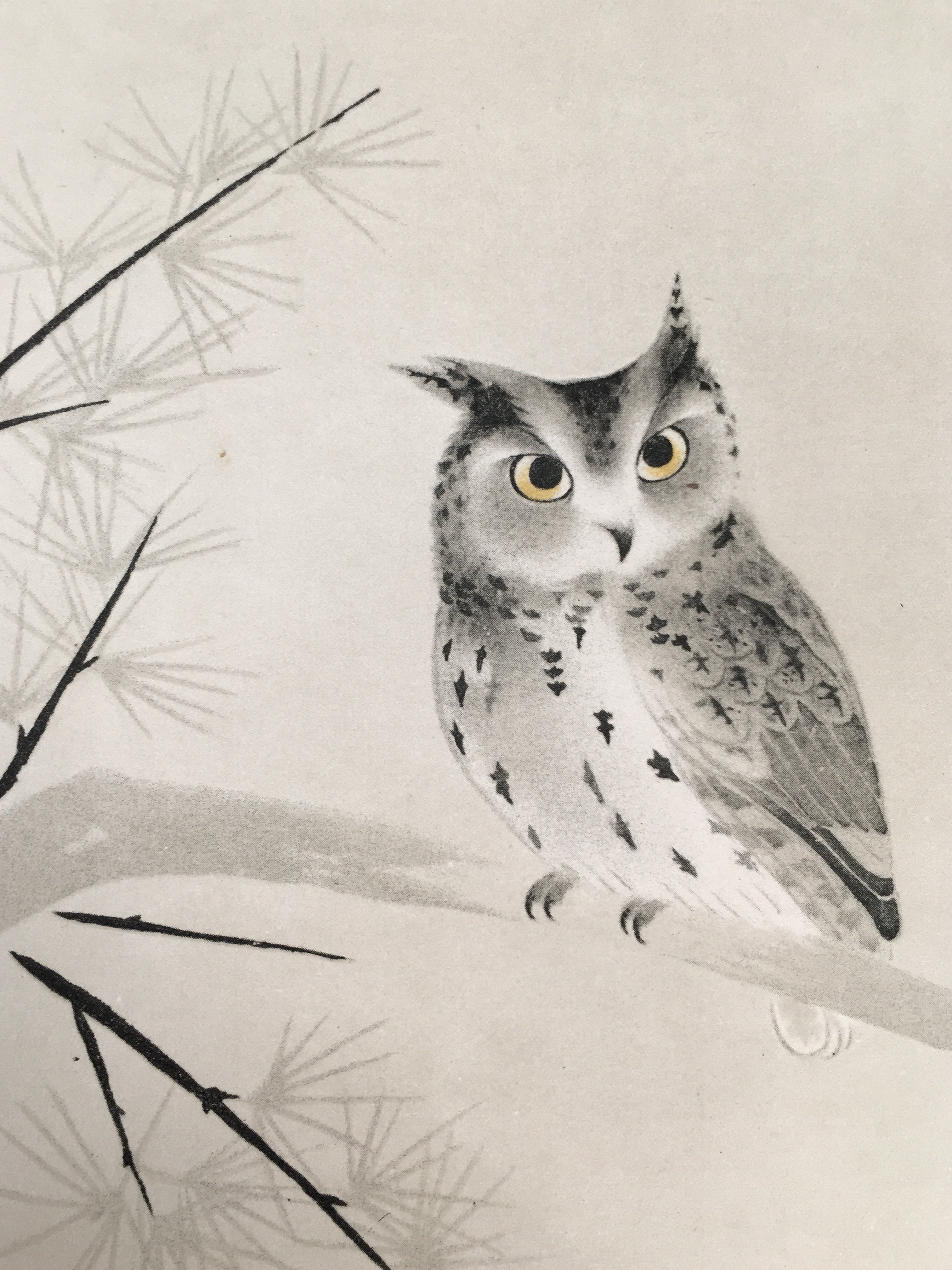 Japanese Print Drawing Painting Vtg Owl Bird Lucky Charm Pine Tree P290