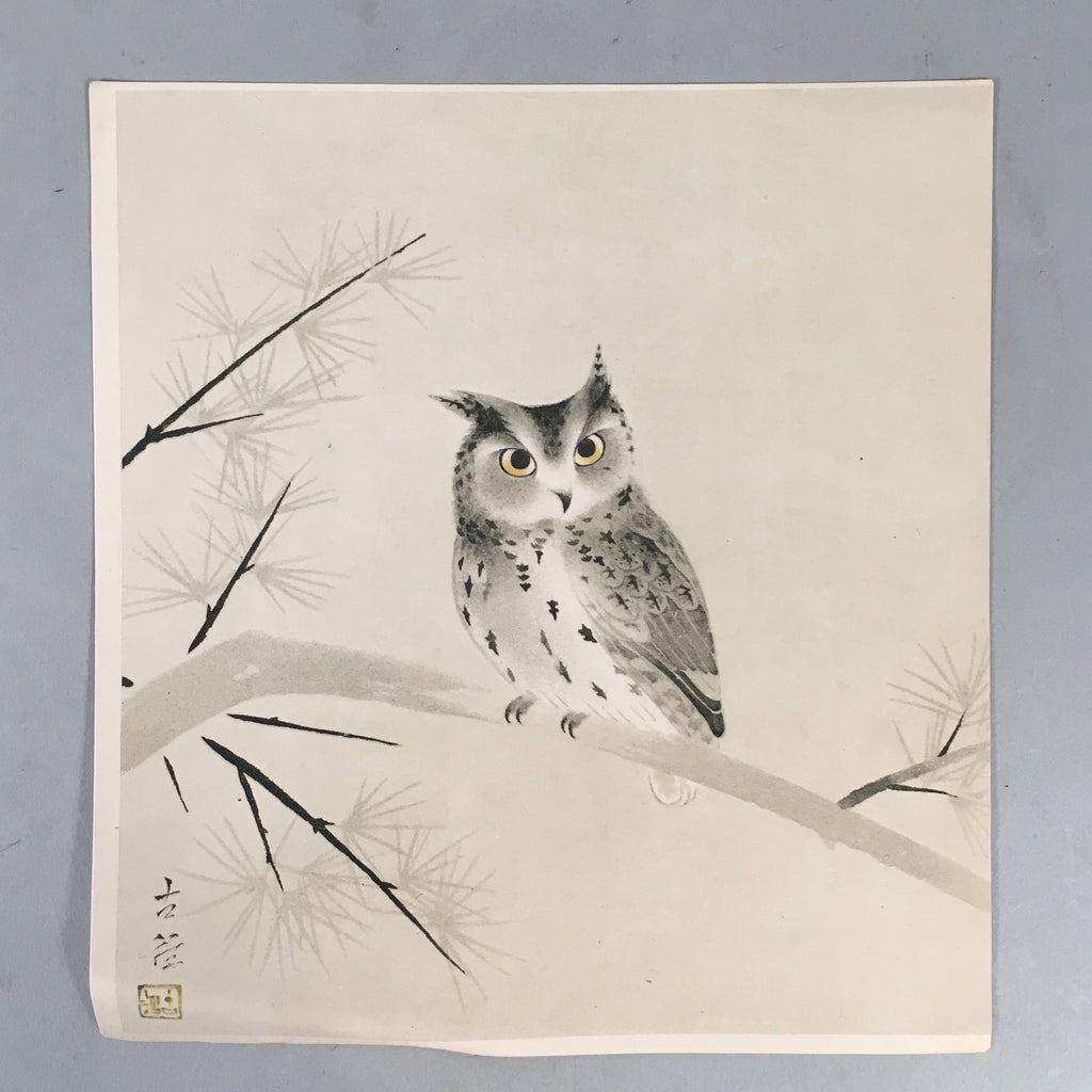 Japanese Print Drawing Painting Vtg Owl Bird Lucky Charm Pine Tree P290