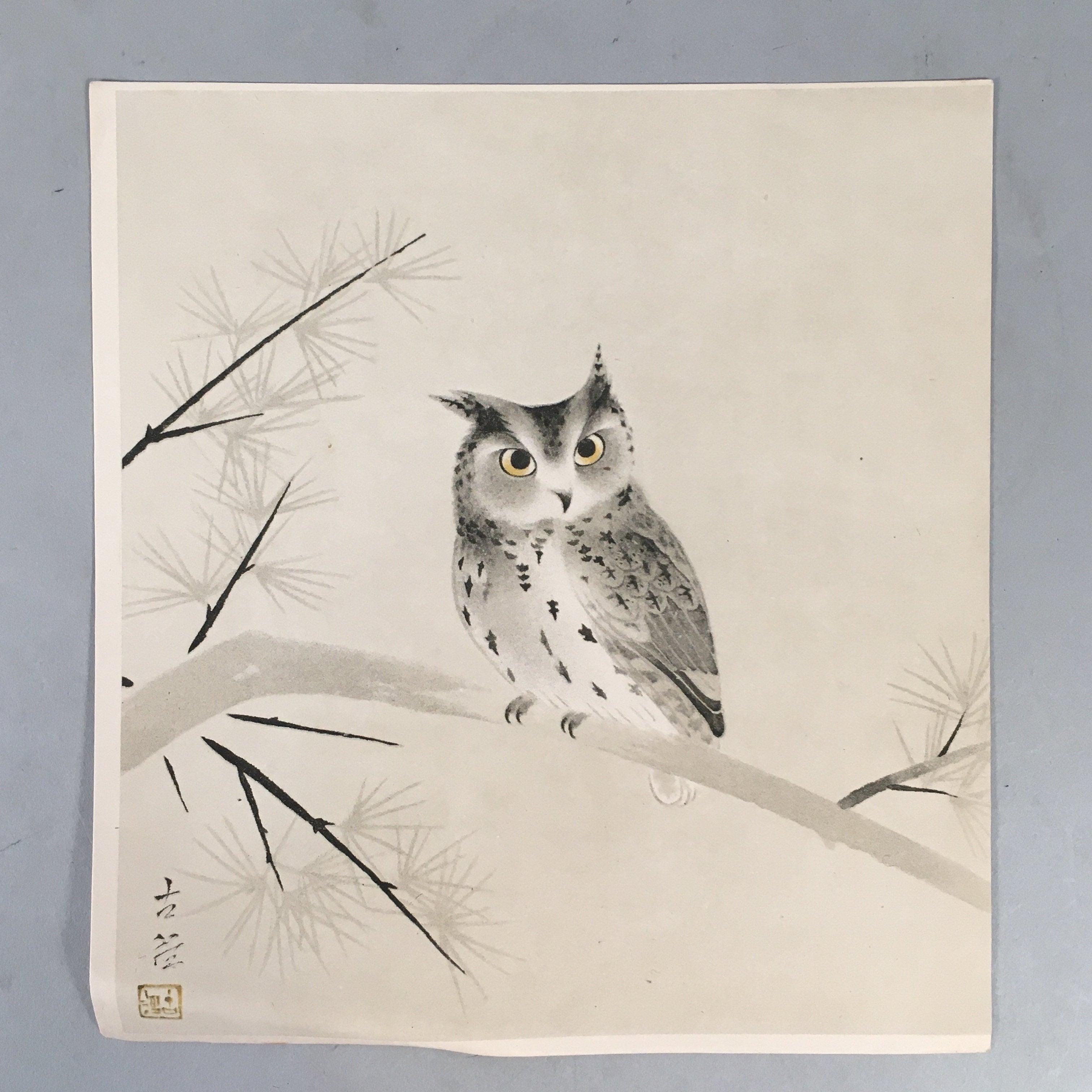 Japanese Print Drawing Painting Vtg Owl Bird Lucky Charm Pine Tree P290
