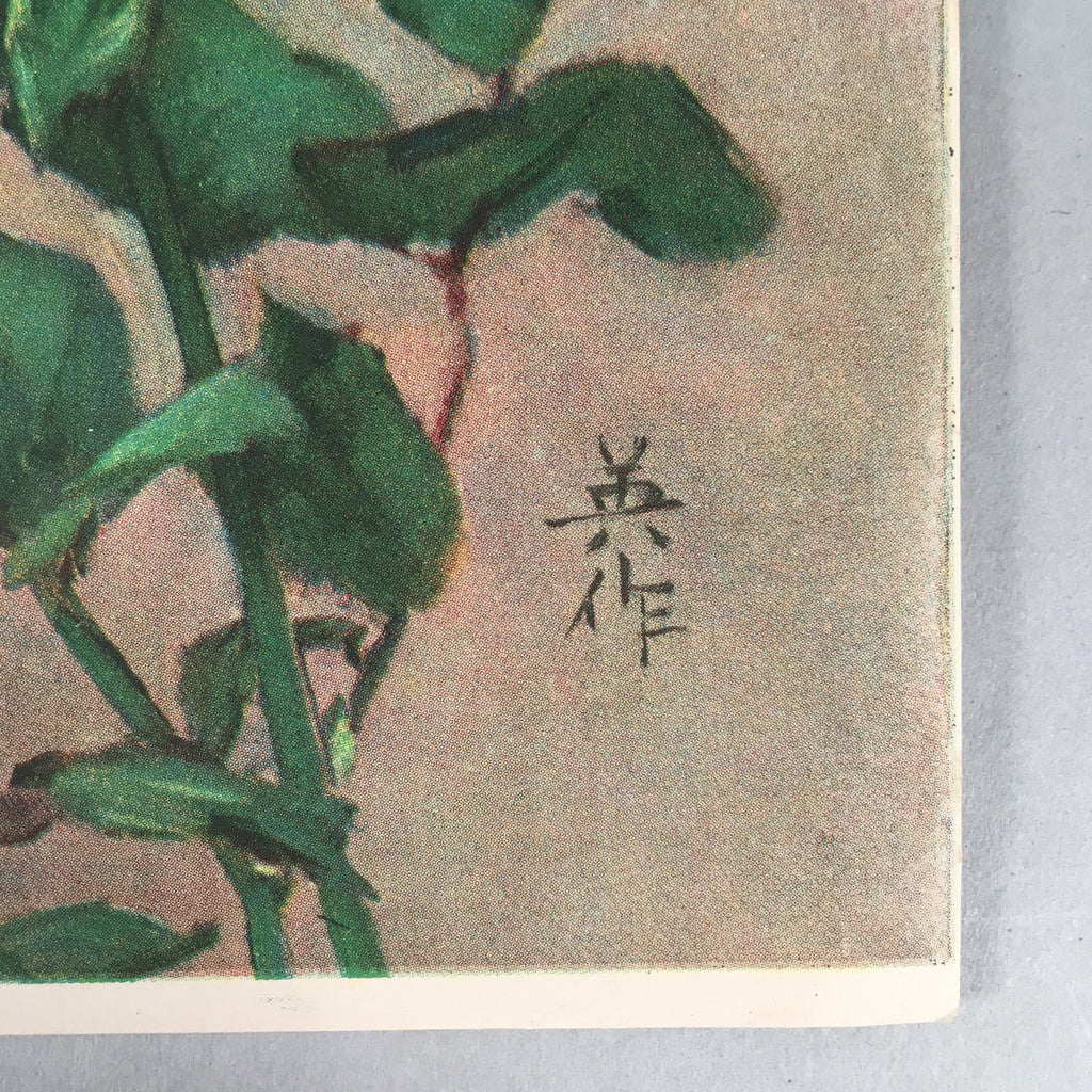 Japanese Print Drawing Painting Vtg Pink Yellow Rose Flower P297