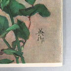 Japanese Print Drawing Painting Vtg Pink Yellow Rose Flower P297