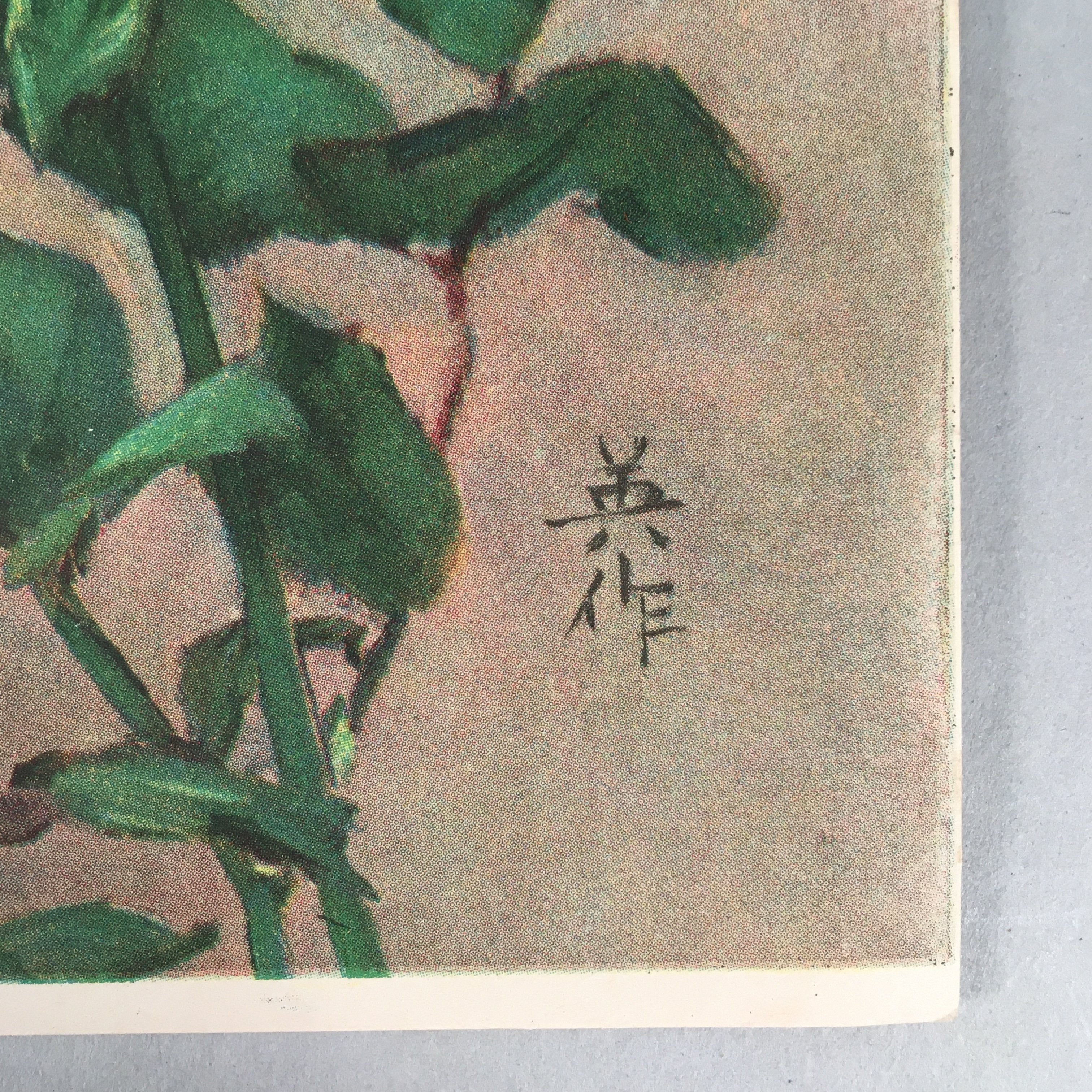 Japanese Print Drawing Painting Vtg Pink Yellow Rose Flower P297
