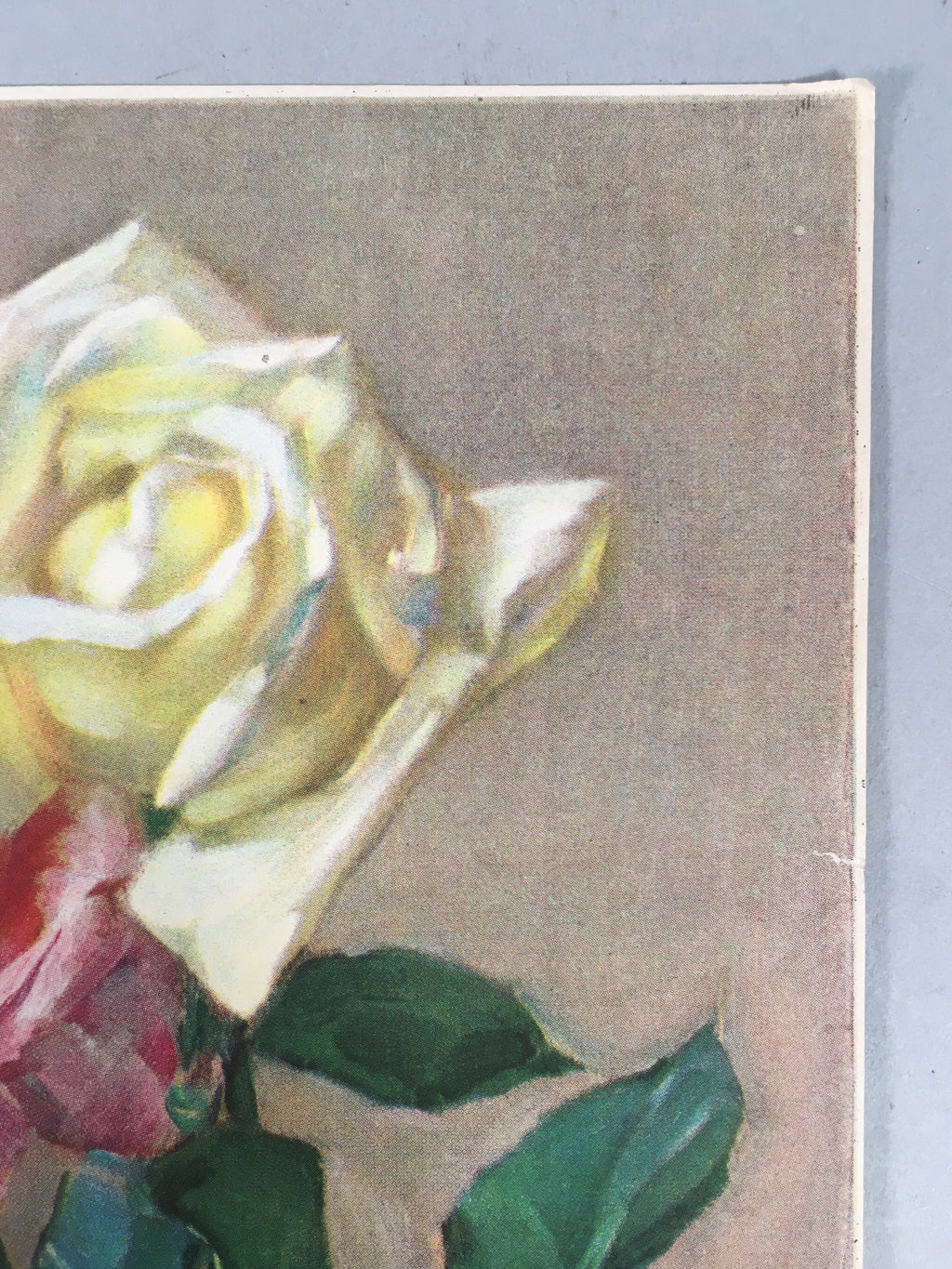 Japanese Print Drawing Painting Vtg Pink Yellow Rose Flower P297
