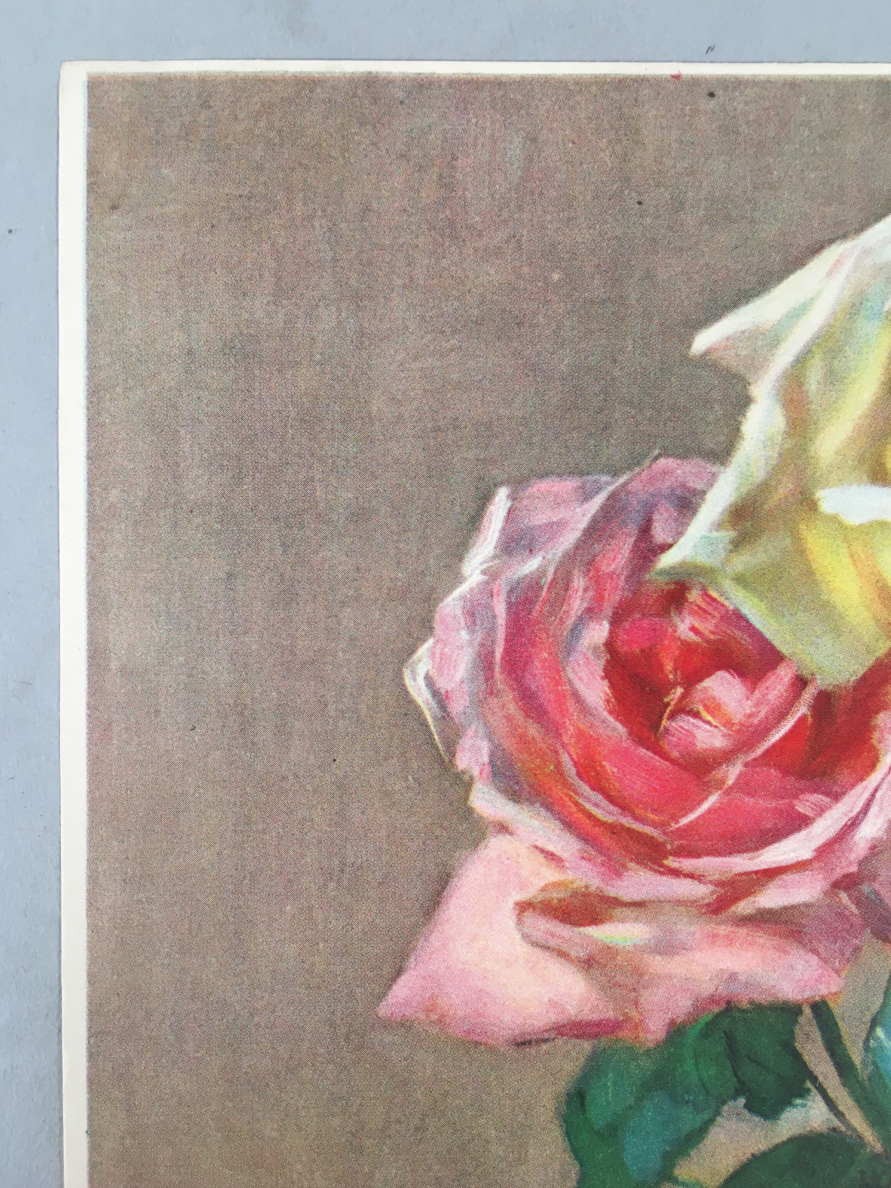 Japanese Print Drawing Painting Vtg Pink Yellow Rose Flower P297