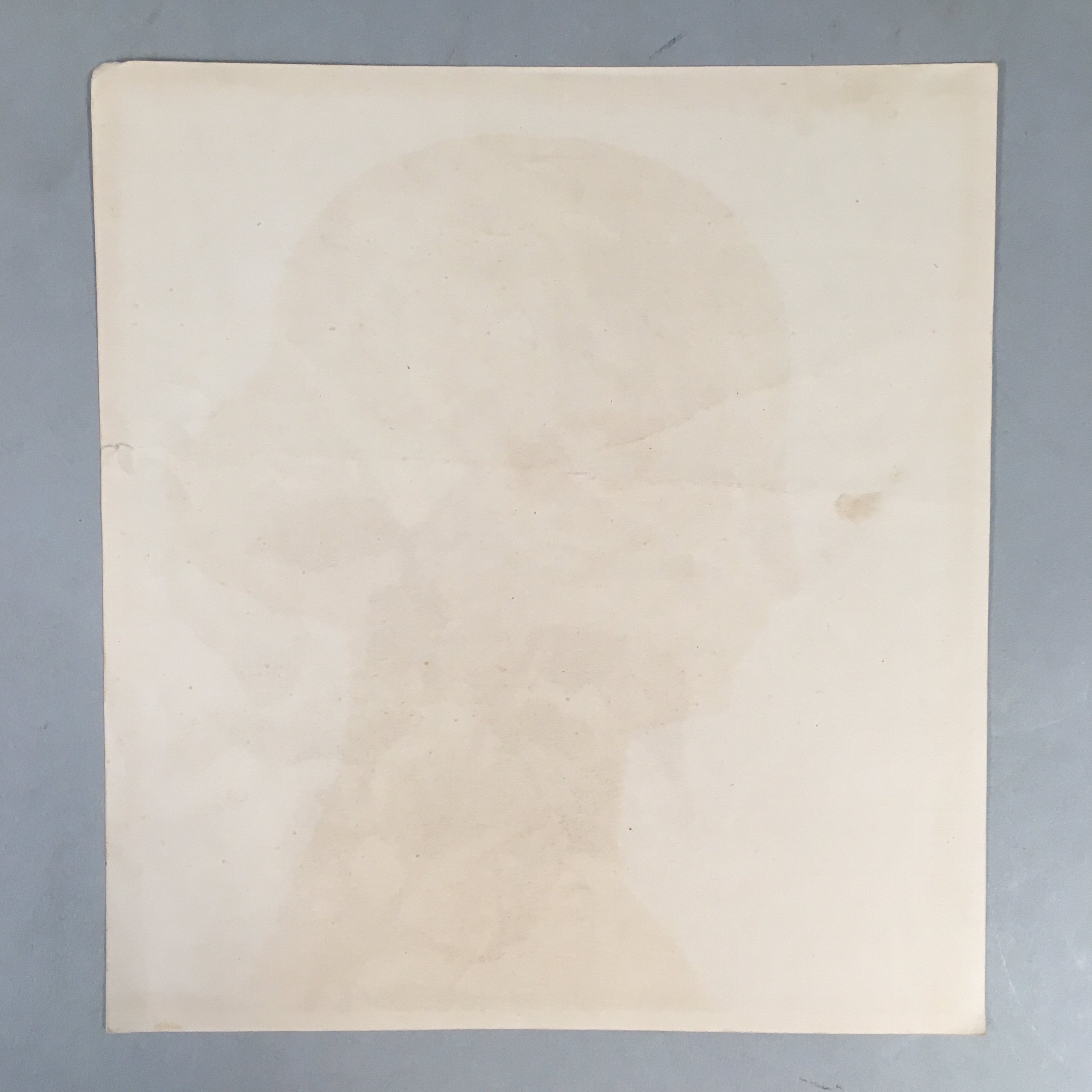 Japanese Print Drawing Painting Vtg Pink Yellow Rose Flower P297