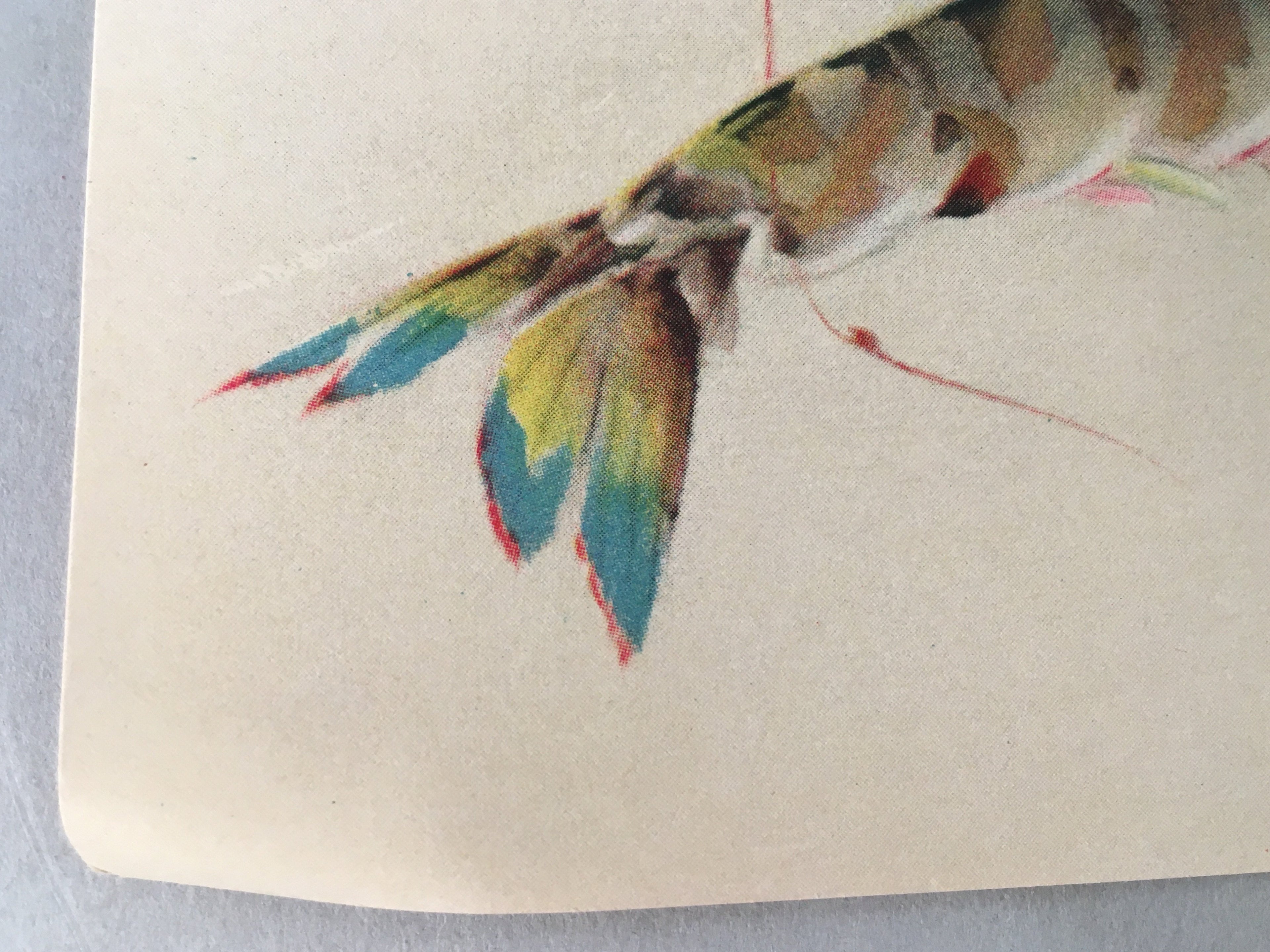 Japanese Print Drawing Painting Vtg Shrimp Longevity Lucky Charm Motif P291