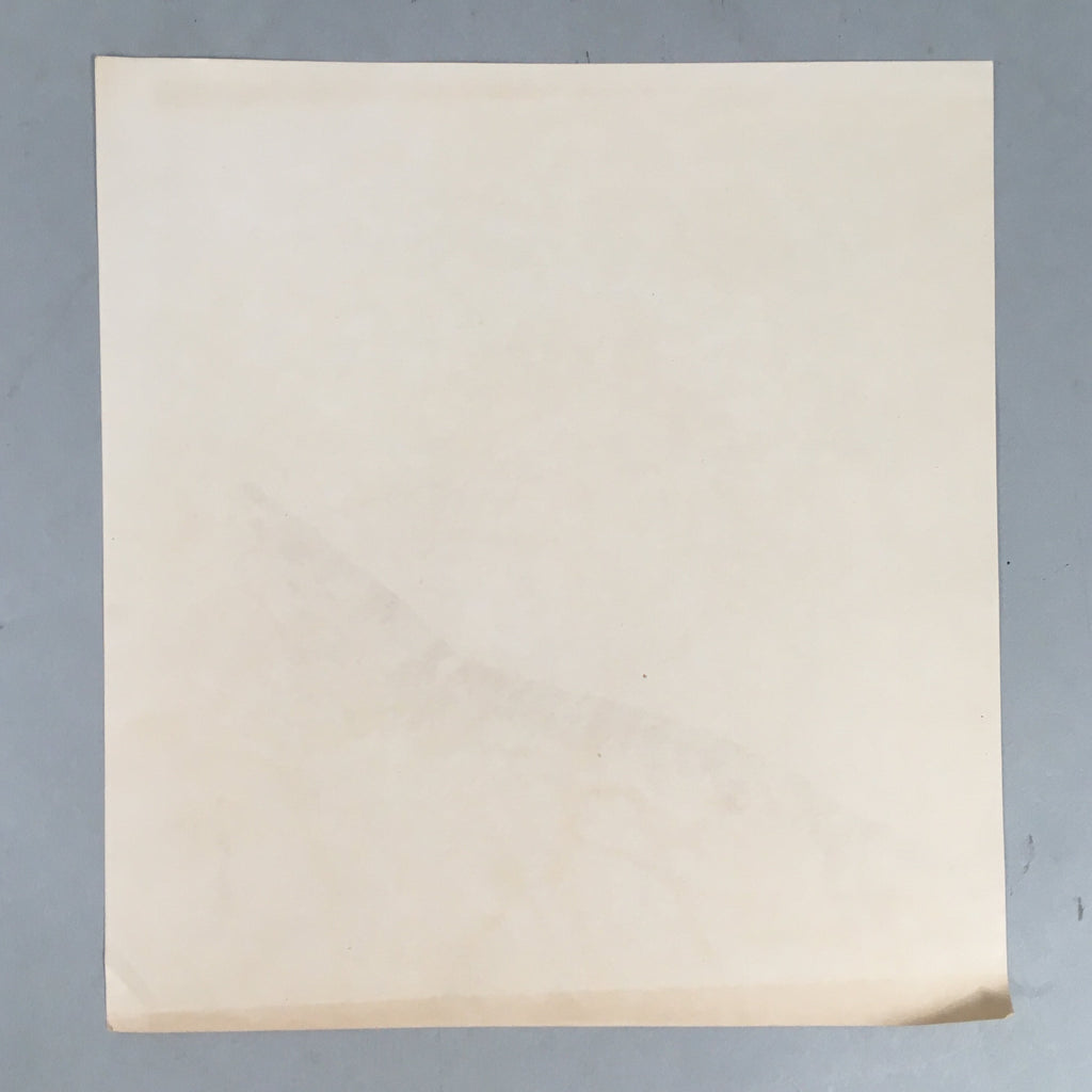 Japanese Print Drawing Painting Vtg Shrimp Longevity Lucky Charm Motif P291
