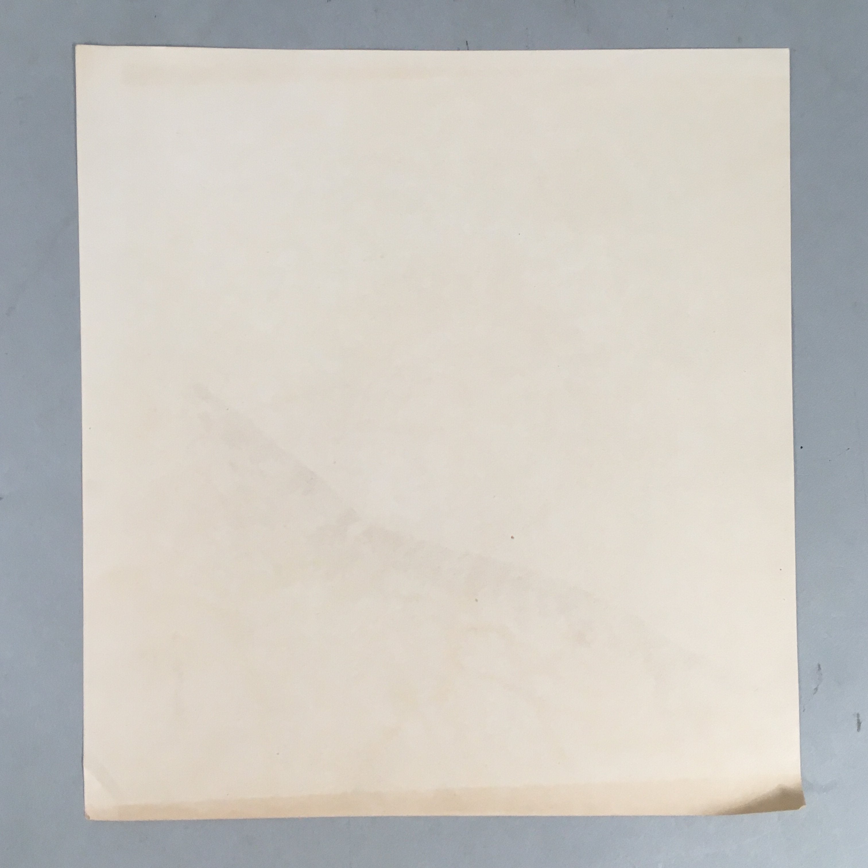 Japanese Print Drawing Painting Vtg Shrimp Longevity Lucky Charm Motif P291