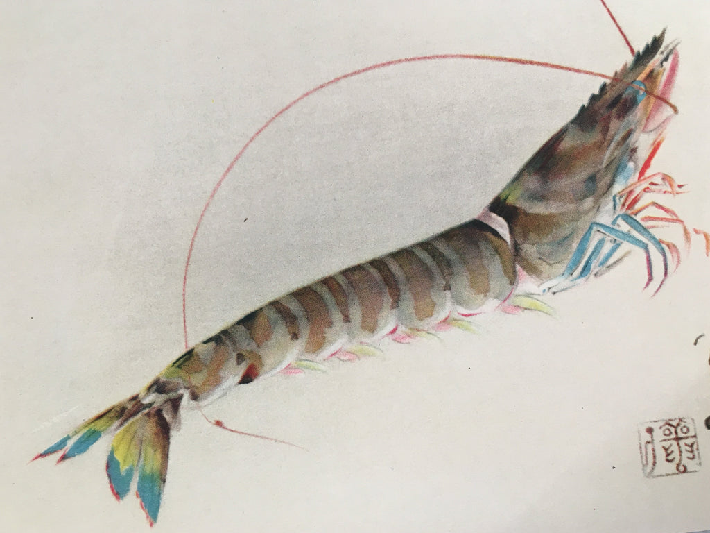 Japanese Print Drawing Painting Vtg Shrimp Longevity Lucky Charm Motif P291