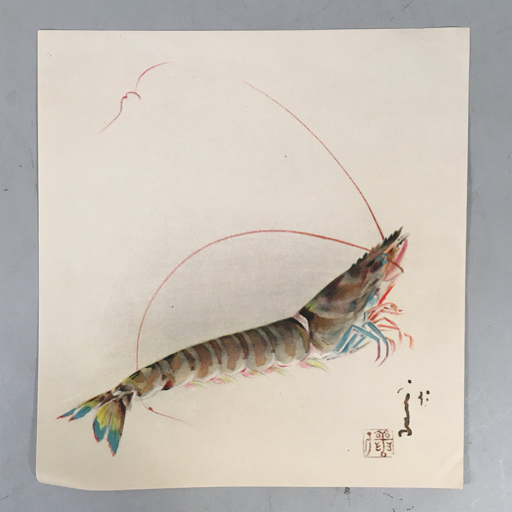 Japanese Print Drawing Painting Vtg Shrimp Longevity Lucky Charm Motif P291