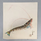 Japanese Print Drawing Painting Vtg Shrimp Longevity Lucky Charm Motif P291