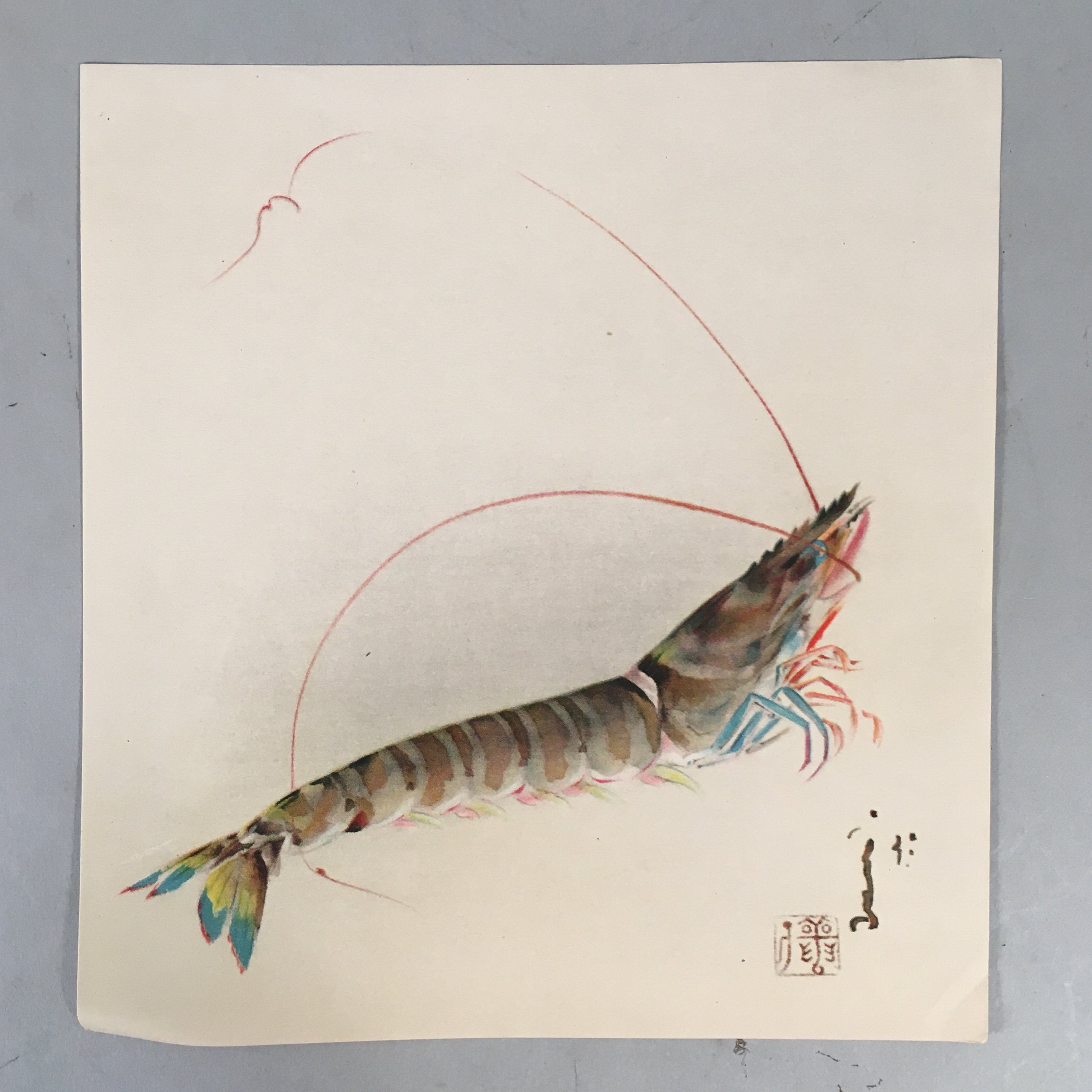 Japanese Print Drawing Painting Vtg Shrimp Longevity Lucky Charm Motif P291