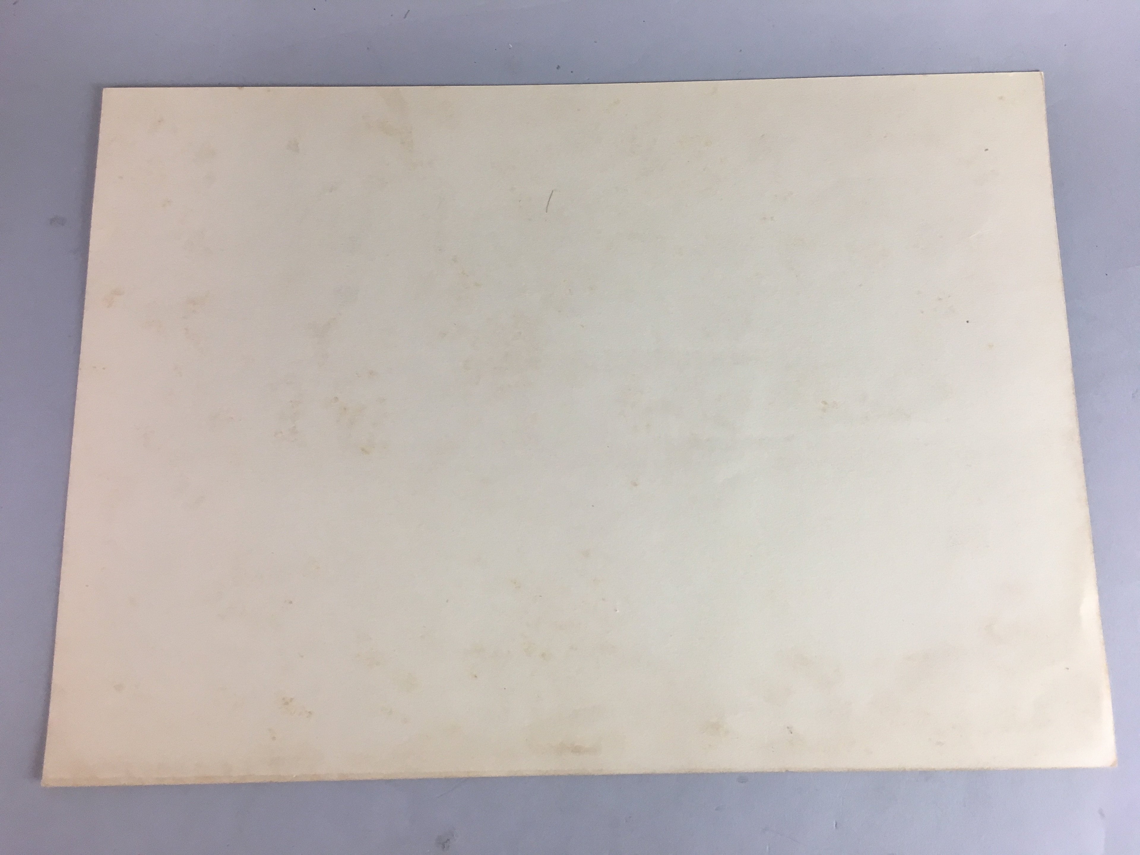 Japanese Sea Print Painting Vtg 1930 Bay Island Pine Tree Matsushima P211
