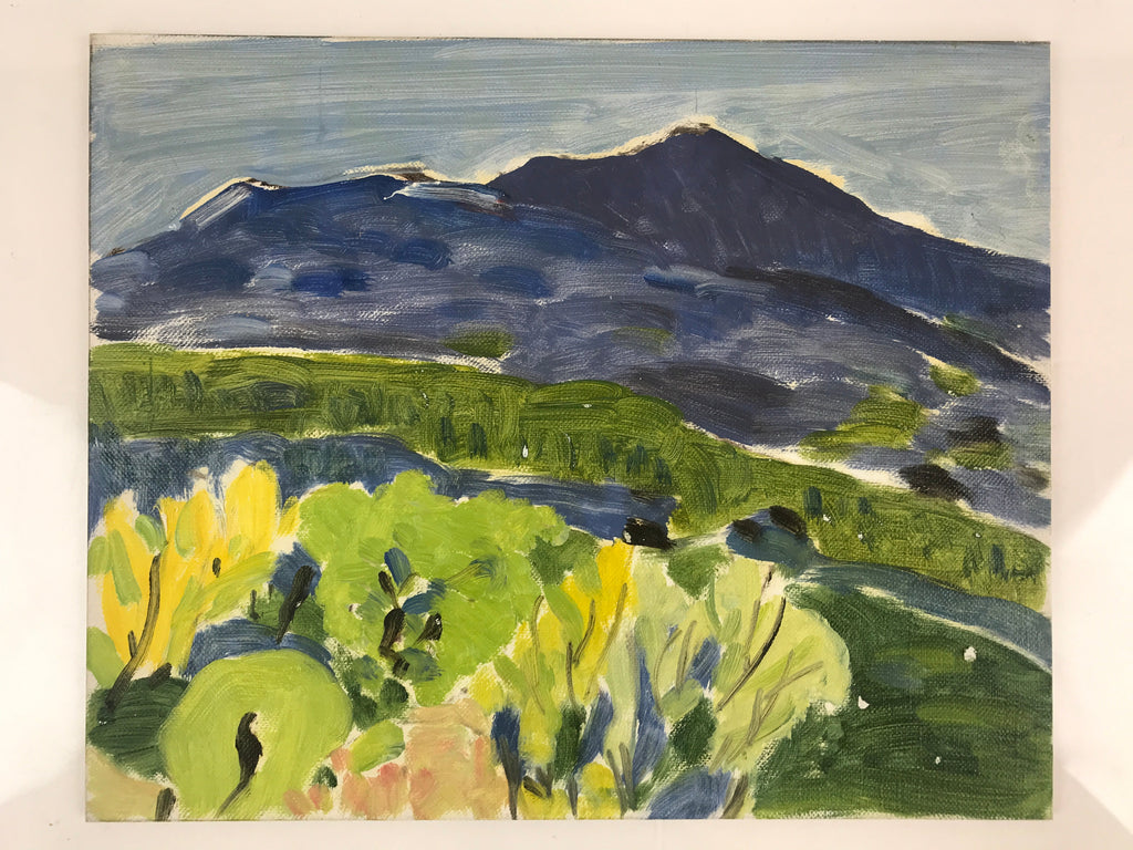 Japanese Shady Mountain Valley Oil Painting Landscape Original Unsigned FL169