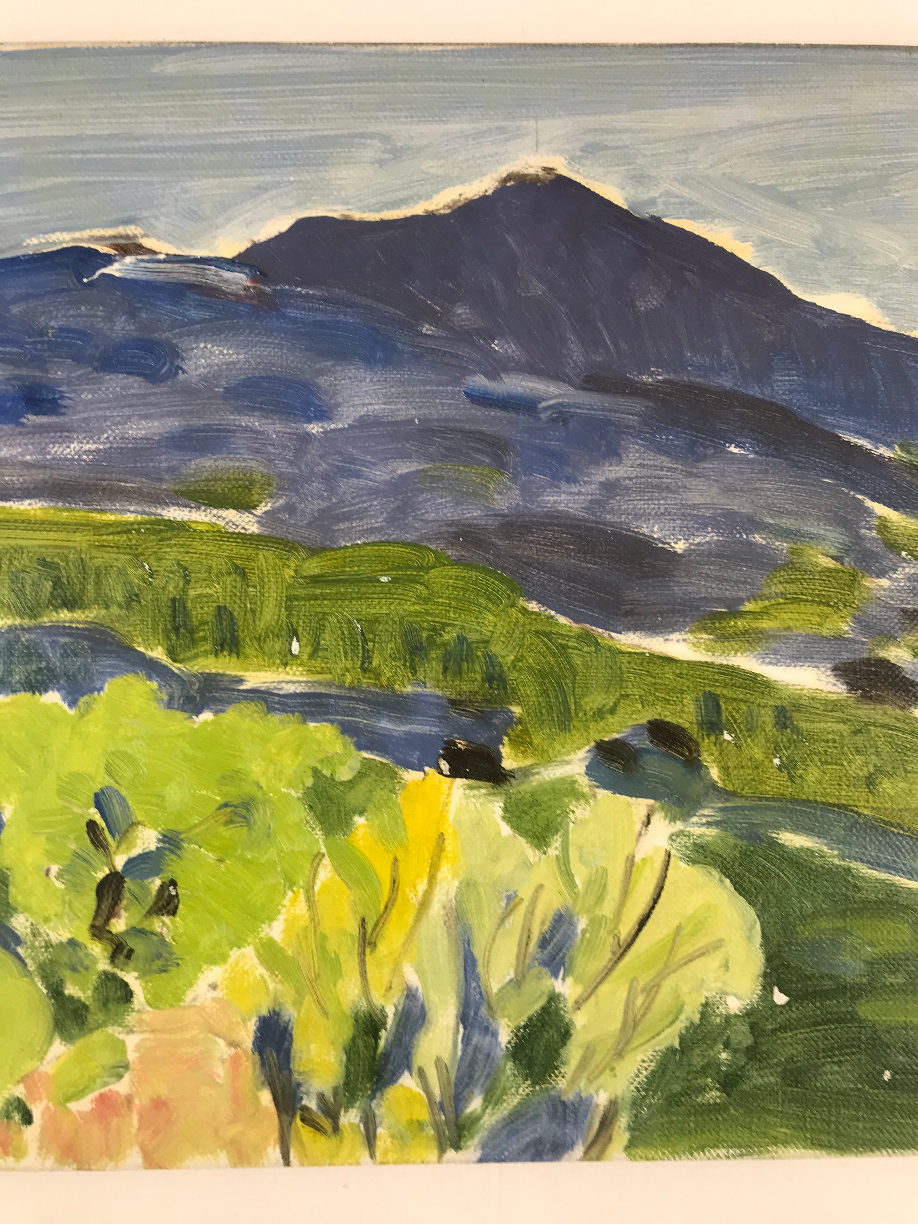 Japanese Shady Mountain Valley Oil Painting Landscape Original Unsigned FL169
