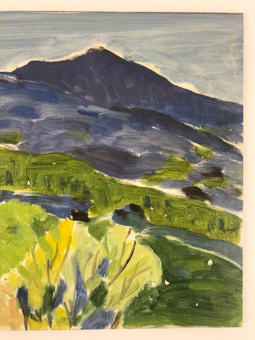 Japanese Shady Mountain Valley Oil Painting Landscape Original Unsigned FL169