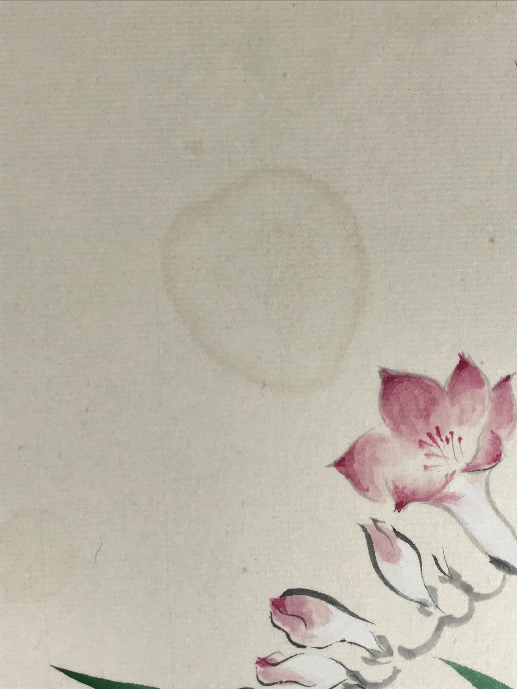 Japanese Shikishi Art Board Vtg Art Painting Nihonga Picture Display Pink Flower