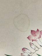 Japanese Shikishi Art Board Vtg Art Painting Nihonga Picture Display Pink Flower
