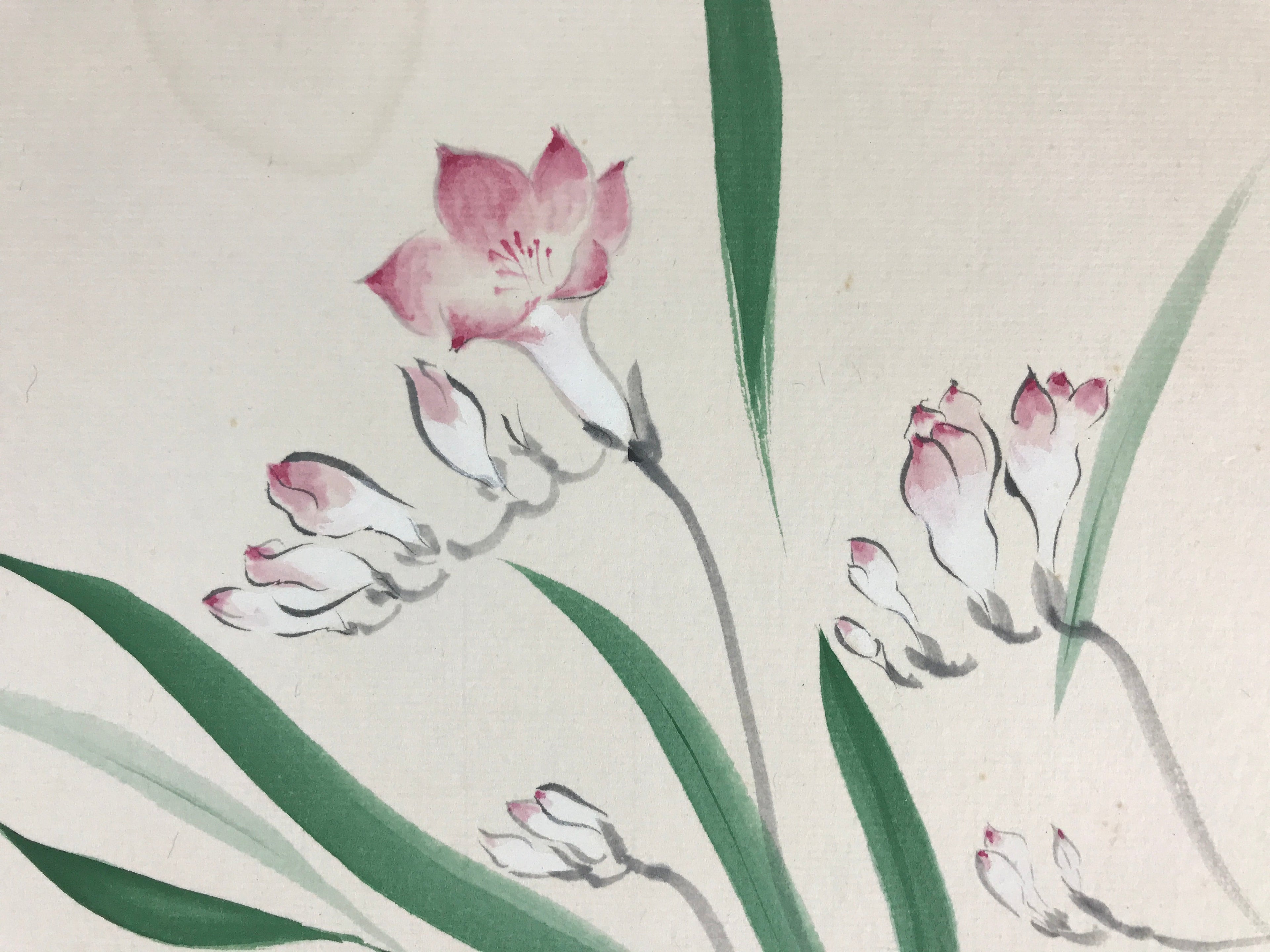 Japanese Shikishi Art Board Vtg Art Painting Nihonga Picture Display Pink Flower