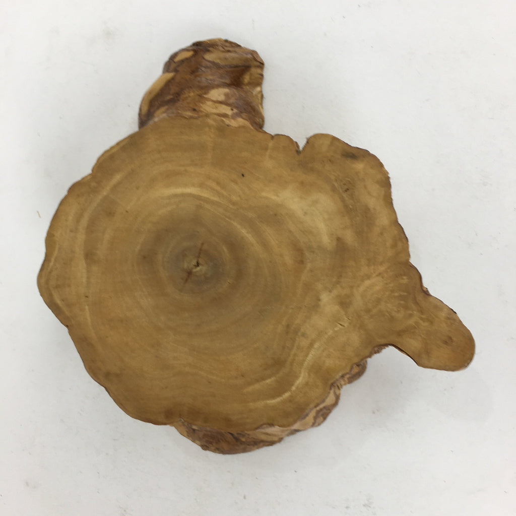 Japanese Tree Stump Ashtray Vtg Wood Ornament Display Brown Haizara JK244