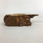 Japanese Tree Stump Ashtray Vtg Wood Ornament Display Brown Haizara JK245
